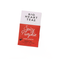 Load image into Gallery viewer, Spicy Pumpkin Tea - Fancy That