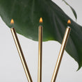 Load image into Gallery viewer, Forever Candles - Gold - Fancy That