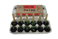 Load image into Gallery viewer, Salsa Garden Grow Kit - Fancy That