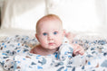 Load image into Gallery viewer, Classic Muslin Swaddle - Mountain Top - Fancy That