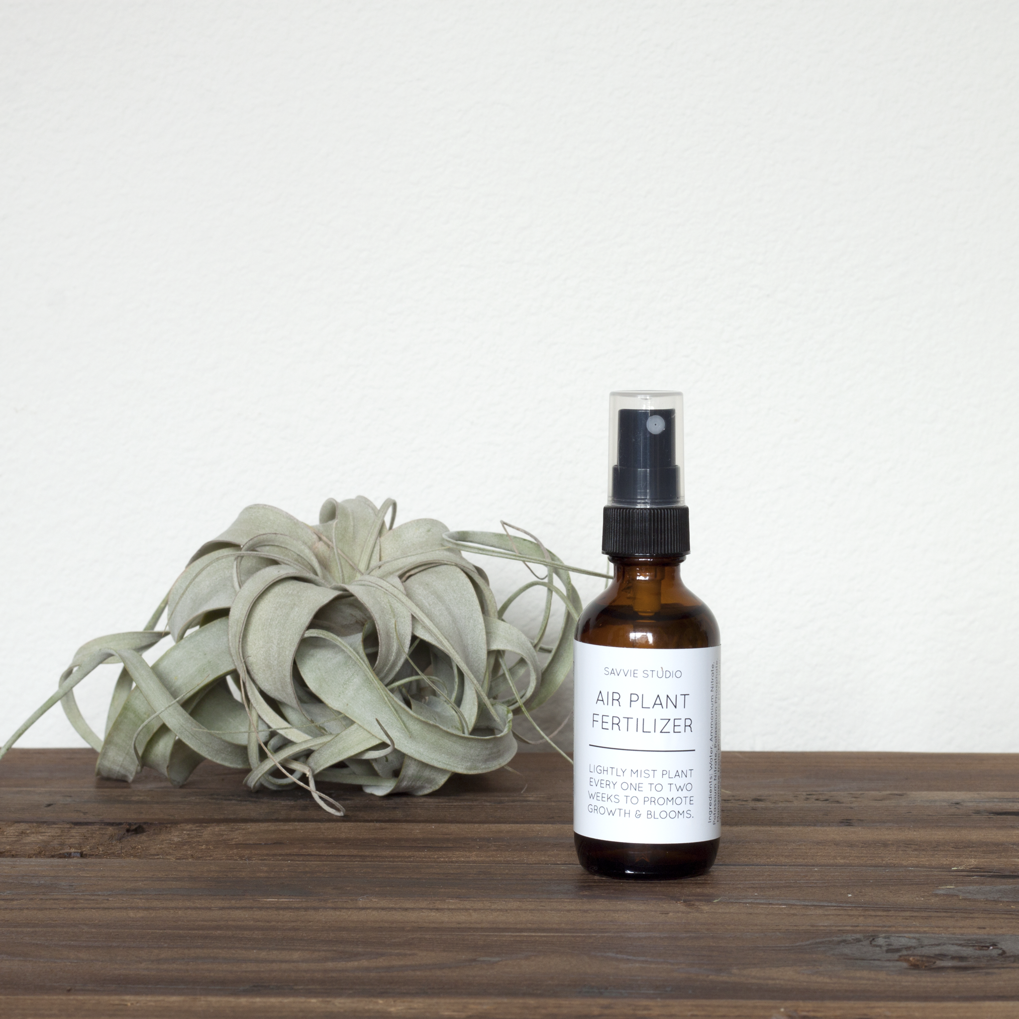 Air Plant Fertilizer - Fancy That