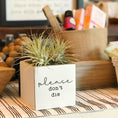 Load image into Gallery viewer, Please Don't Die Succulent Pot - Fancy That