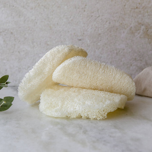 Compostable Dish Sponge 3-Pack - Fancy That