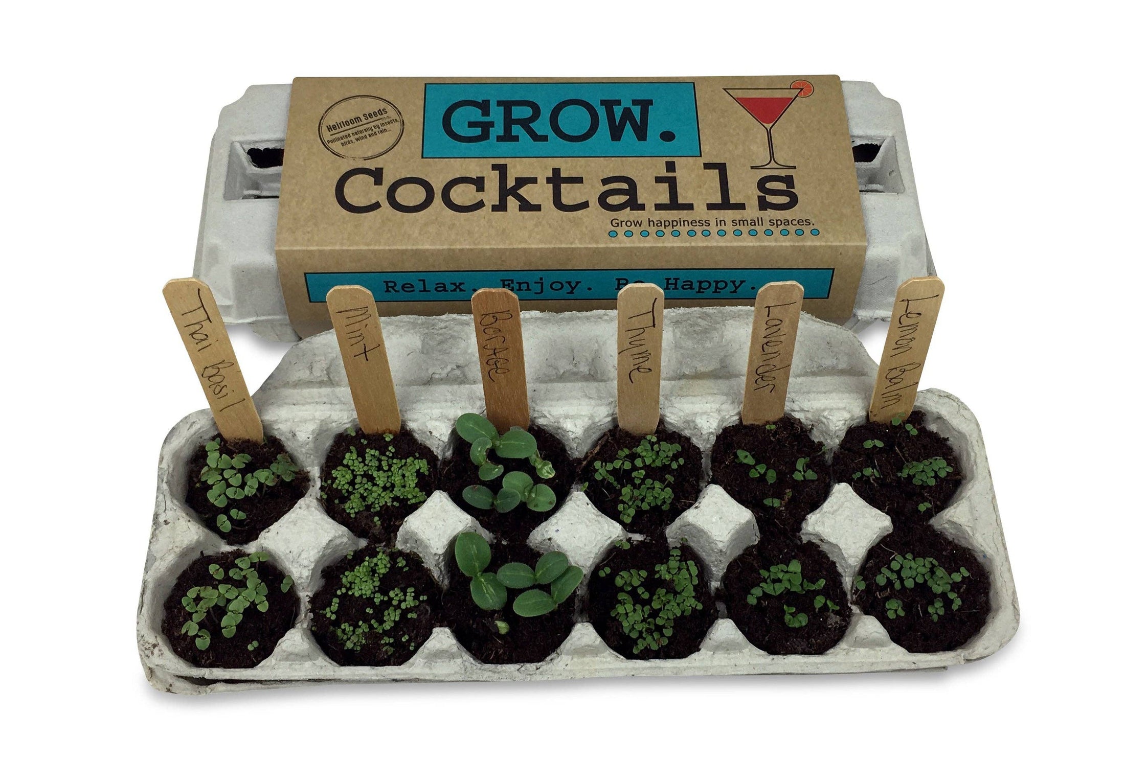Cocktail Garden Grow Kit - Fancy That