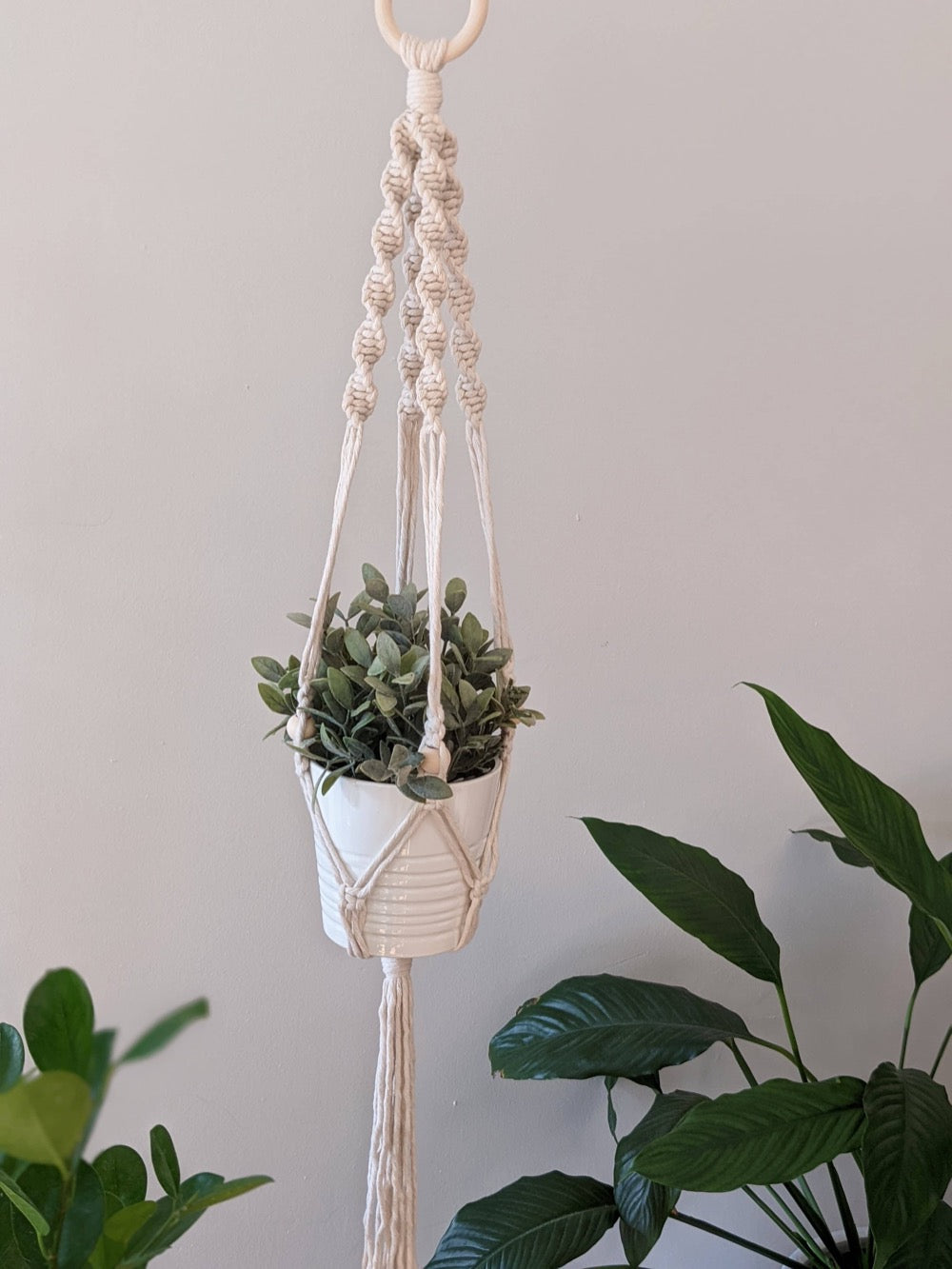 Macrame Plant Hanger - The Sage - Fancy That