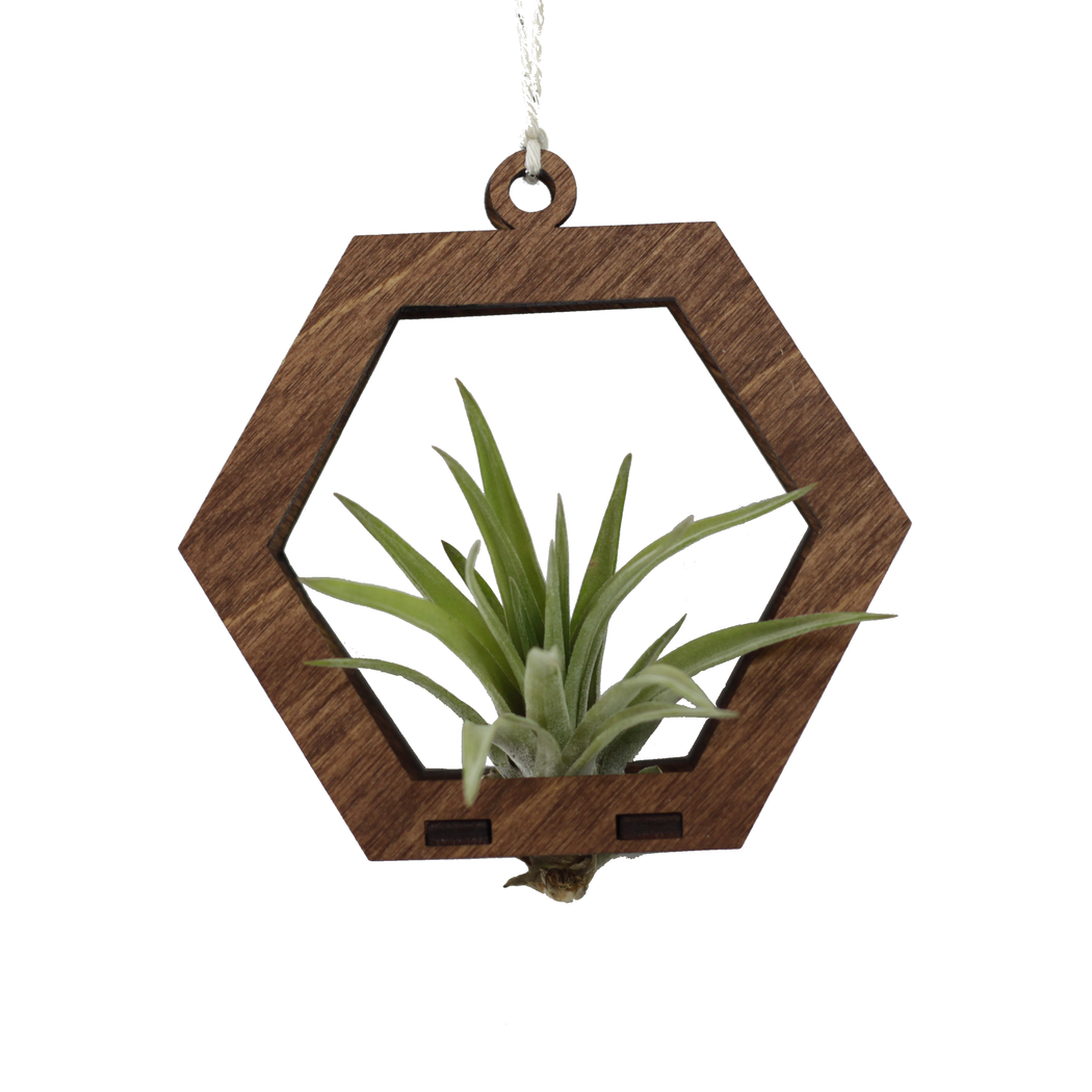 Mini Air Plant Hanger Hexagon - Fancy That