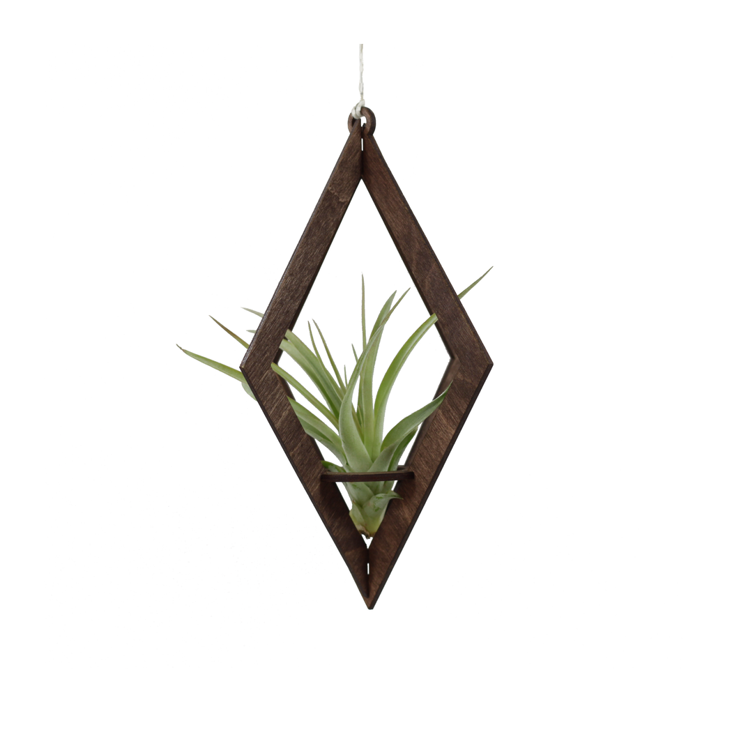 Air Plant Hanger Diamond - Fancy That