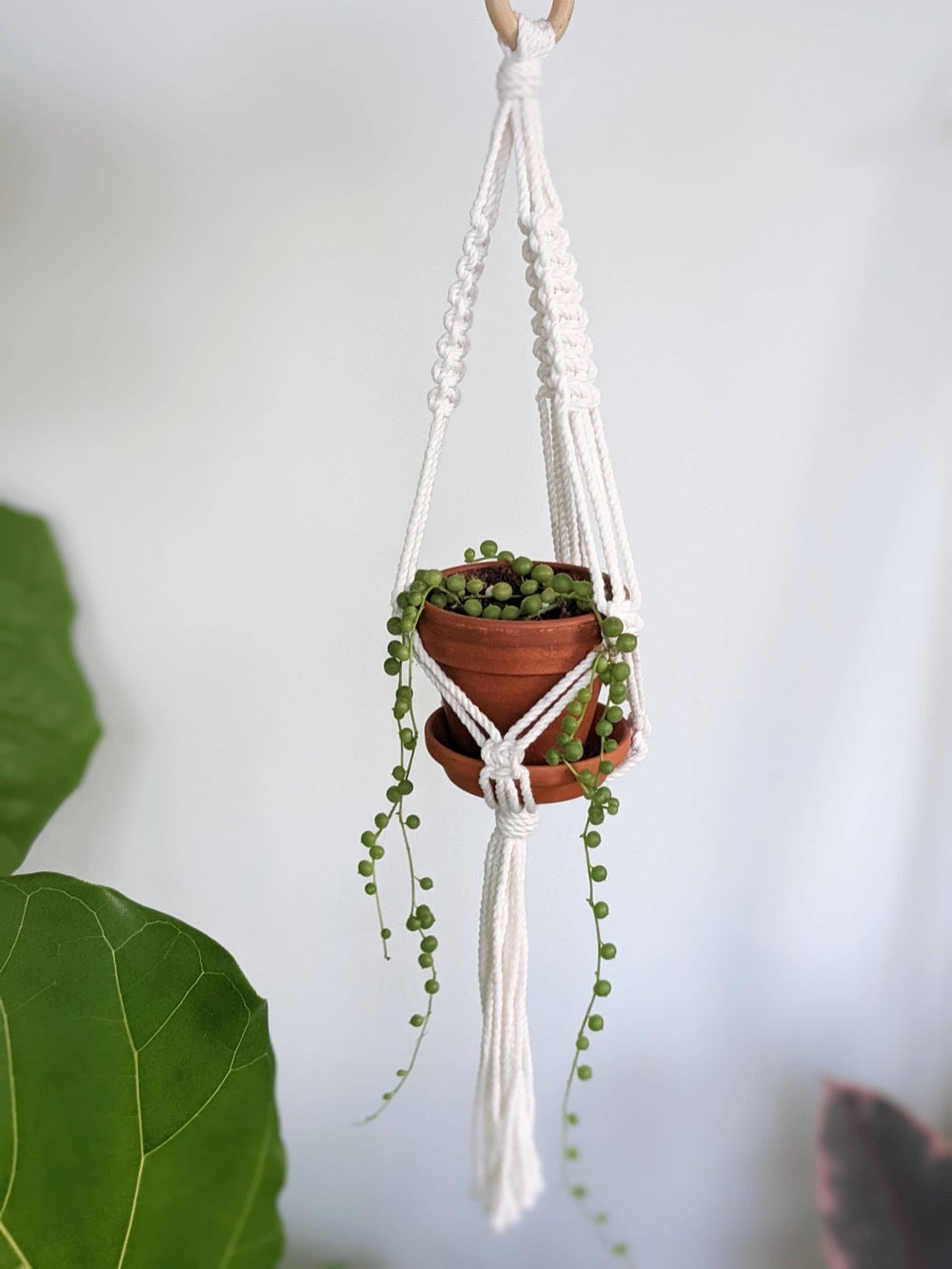 Macrame Plant Hanger - The Little - Fancy That
