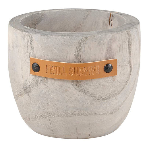 I Will Survive Wood Planter - Fancy That