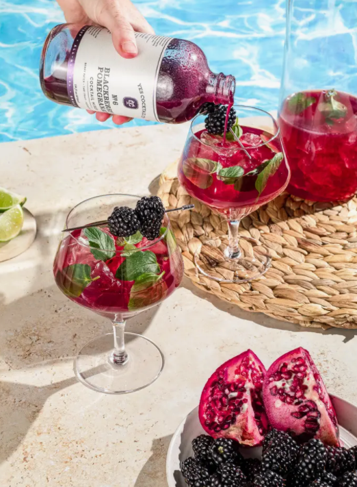 Blackberry Pomegranate Cocktail Mixer - Fancy That