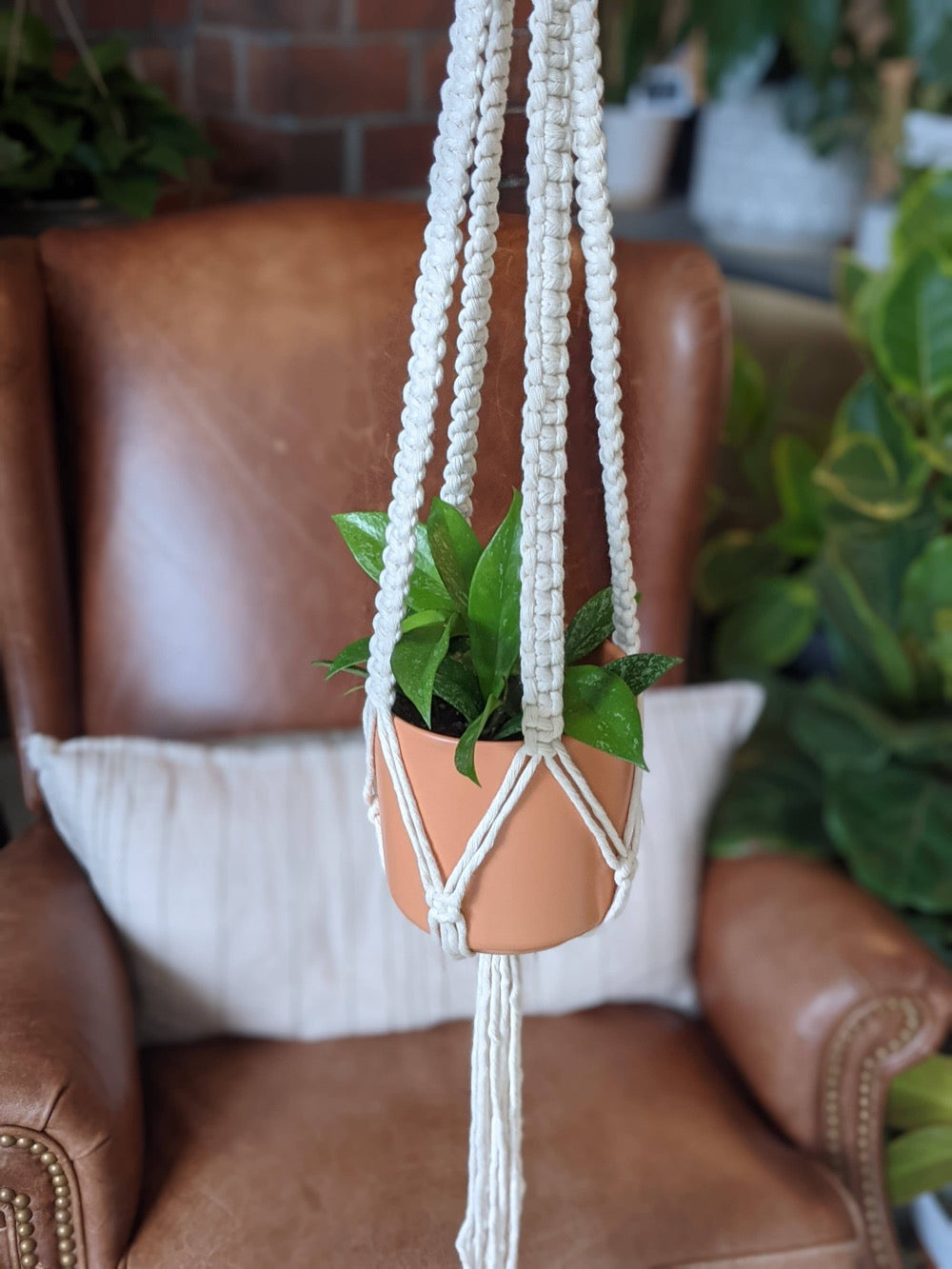 Macrame Plant Hanger - The Vibe - Fancy That