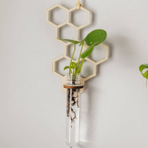 Honeycomb Hanging Propagation Station - Fancy That